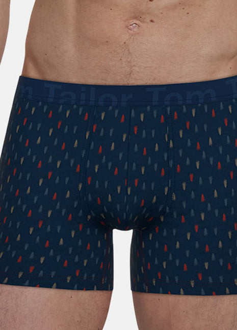 Tom Tailor short 2 pack kentucky blue heren 75285-6061-655 Tom Tailor boxer lot de 2 kentucky blue hommes