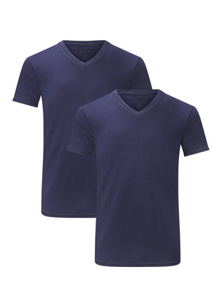 Bamboo Basics set van twee blauwe T-shirts met V-hals voor heren